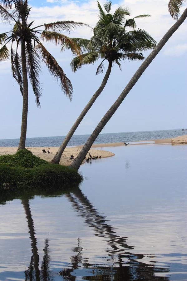 Telma Beach Homestay Mararikulam Exterior foto